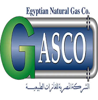 Egyptian Natural Gas Co